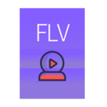 FLV转换器在线工具